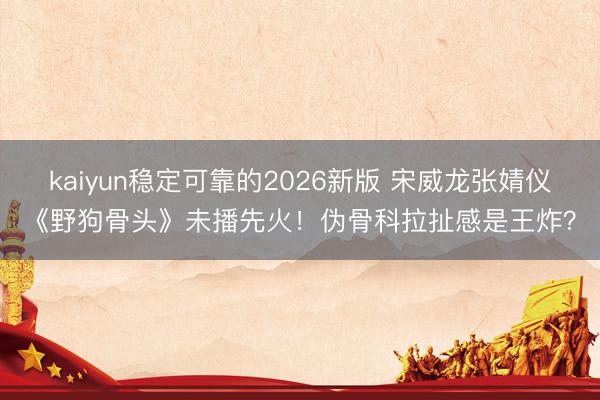 kaiyun稳定可靠的2026新版 宋威龙张婧仪《野狗骨头》未播先火！伪骨科拉扯感是王炸？