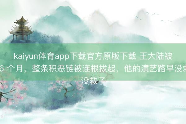 kaiyun体育app下载官方原版下载 王大陆被判 6 个月，整条积恶链被连根拔起，他的演艺路早没救了