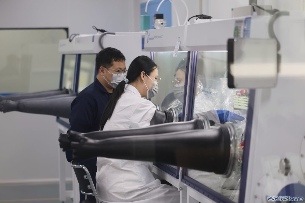 6月15日,工程师在位于天开高教科创园西青园的天津常兴新动力科技有限公司车间进行电芯装置责任。新华社记者李然 摄