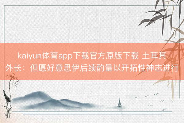 kaiyun体育app下载官方原版下载 土耳其外长：但愿好意思伊后续酌量以开拓性神志进行